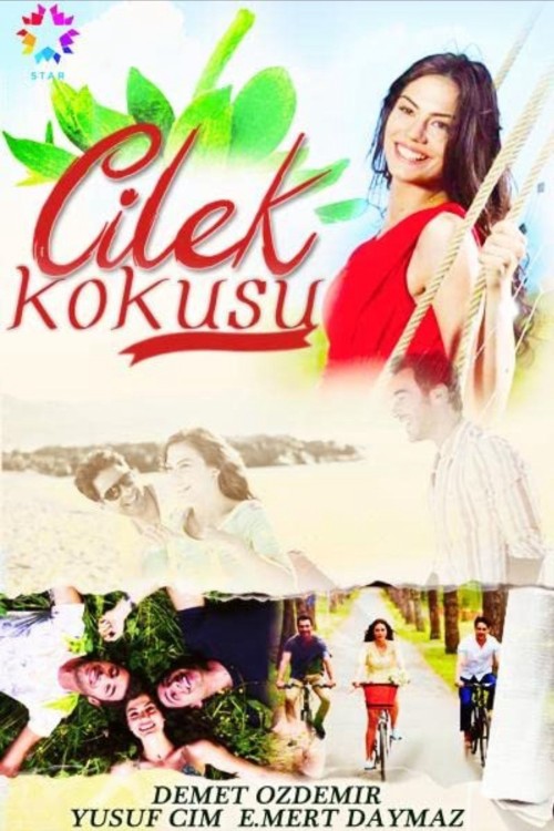 Cilek Kokusu 2015