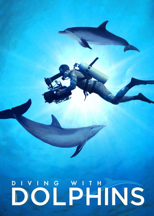 Diving with Dolphins 2020