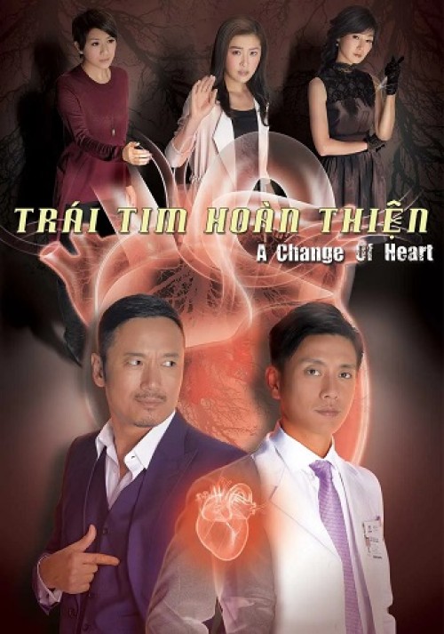 Trái Tim Hoàn Thiện 2013